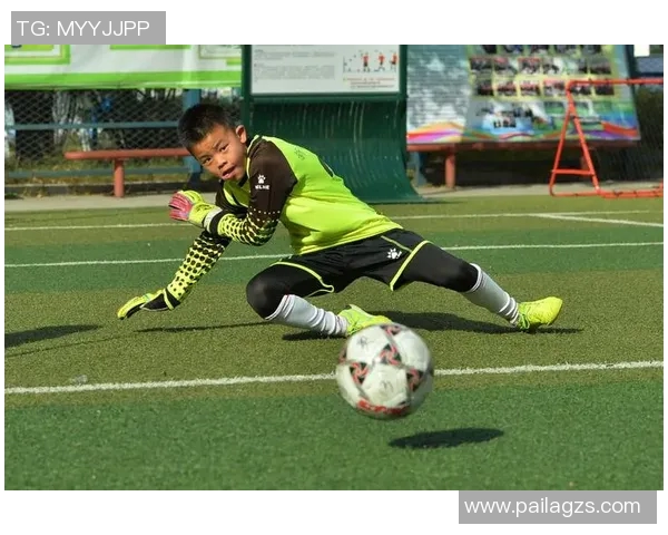 武汉羽毛球队包夹战术分析与成败得失探讨 武汉羽毛球队包夹战术分析与成败得失探讨