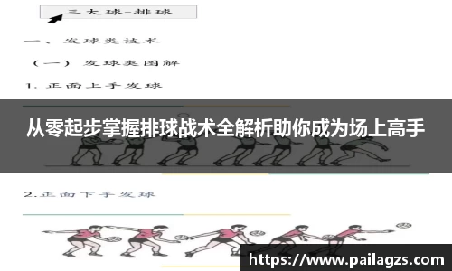 从零起步掌握排球战术全解析助你成为场上高手