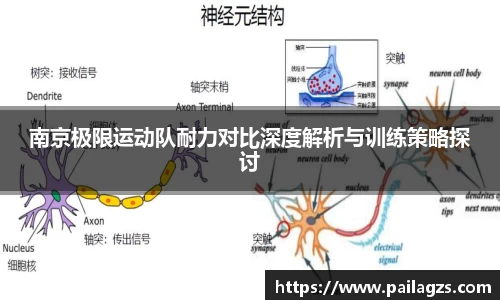 南京极限运动队耐力对比深度解析与训练策略探讨