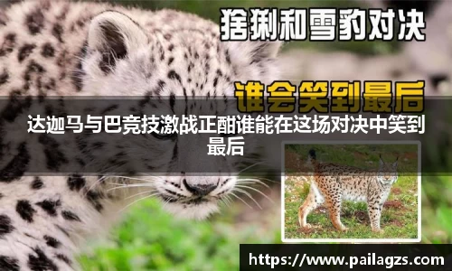 爱游戏ayx官方网站